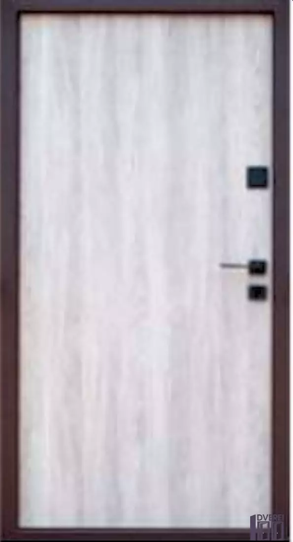 Двері вхідні Форт Нокс ГРАНД (Метал/МДФ) Вулиця Матовий цинк корич 8019+молдинги/Дуб немо сріблястий_2