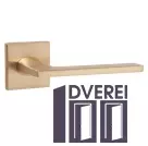 Ручка на розетці PUNTO Мод. MAIN SSG-39 матове золото