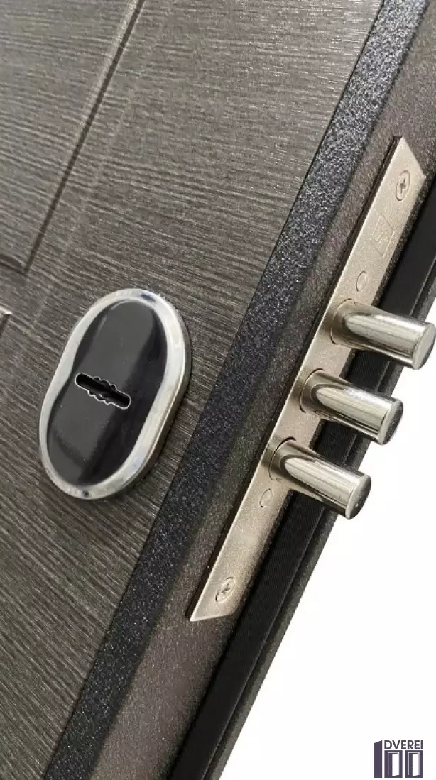 Двері вхідні метал/мдф БЦ- 132 Чорний муар /Венге сірий горизонт_4